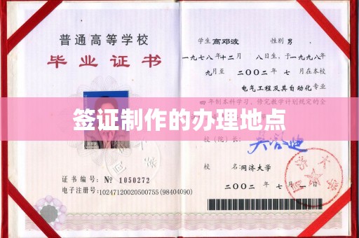 原平签证制作的办理地点