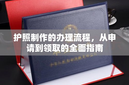 原平护照制作的办理流程，从申请到领取的全面指南