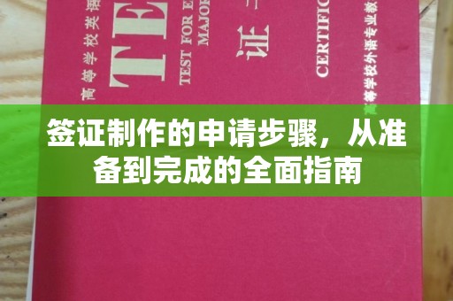 原平签证制作的申请步骤，从准备到完成的全面指南