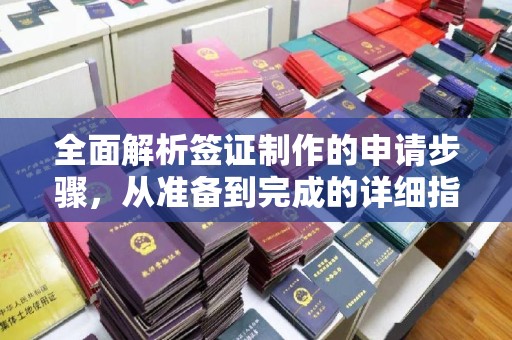 原平全面解析签证制作的申请步骤，从准备到完成的详细指南