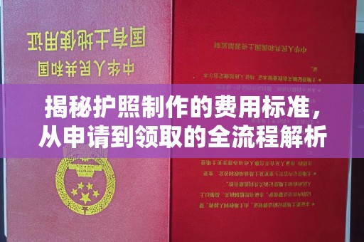 原平揭秘护照制作的费用标准，从申请到领取的全流程解析
